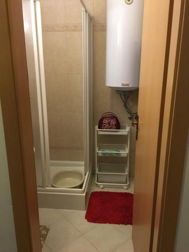 a bathroom with a shower with a sink and a toilet at Apartment Dony in Donovaly