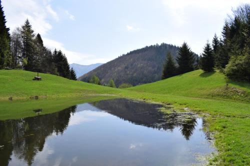 a river in the middle of a field with trees at Apartment Dony in Donovaly