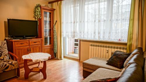 un soggiorno con divano e TV a schermo piatto di MSC Apartments Zakopane Centrum Classic a Zakopane