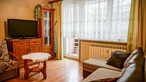 Televízia a/alebo spoločenská miestnosť v ubytovaní MSC Apartments Zakopane Centrum Classic