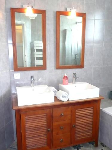 a bathroom with two sinks and two mirrors at Appartement Les Hortensias in Avignon