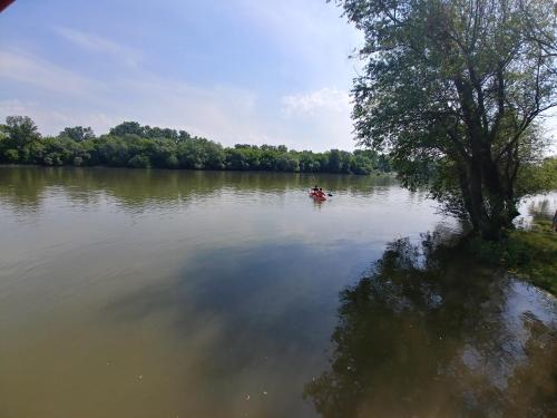 a couple of people in a boat on a lake at Vízparti Apartmanház in Leányfalu