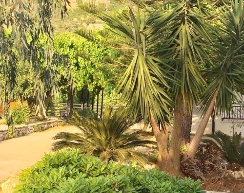 a group of palm trees and bushes in a park at Alegria Kefalonia in Katelios