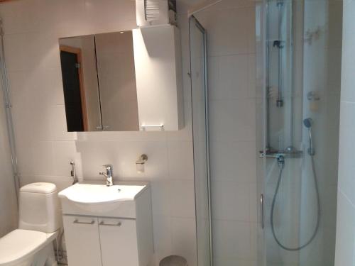 ein Bad mit einem WC, einem Waschbecken und einer Dusche in der Unterkunft LeviBooking LeviStar II apt 309 in Levi