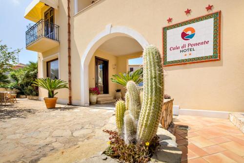 a cactus in front of a building with a sign at Cala di Ponente in Castelluzzo