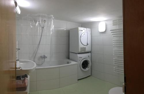a bathroom with a washing machine and a washer at Kleine Pearl in Biebernheim