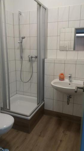 uma casa de banho com um chuveiro e um lavatório. em Herberge 39 em Meissen