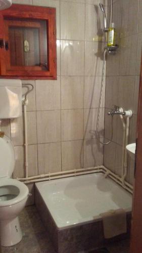a bathroom with a shower with a toilet and a sink at Holiday Home Ema in Plešin