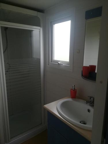 une salle de bain avec un lavabo et une douche avec une fenêtre dans l'établissement Les chalets de Bes 