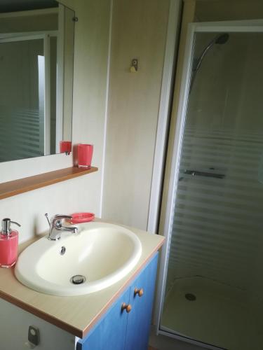 une salle de bain avec un lavabo et une douche dans l'établissement Les chalets de Bes Le Montagnol, à Lacombe