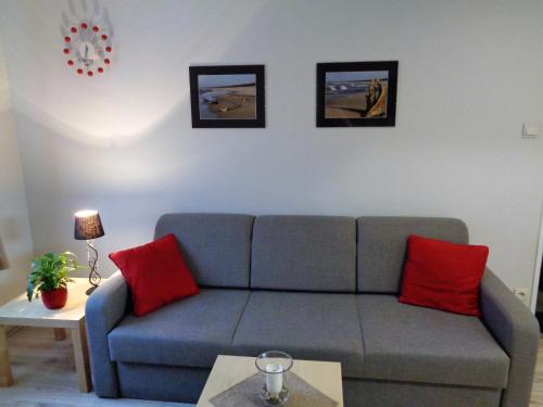 a living room with a blue couch and red pillows at Pokoje, apartament NA WYSPIE in Gdańsk