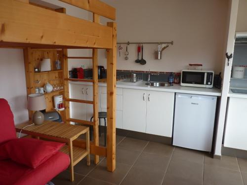 a small kitchen with a loft bed and a microwave at Studio Clos de Charance in Gap