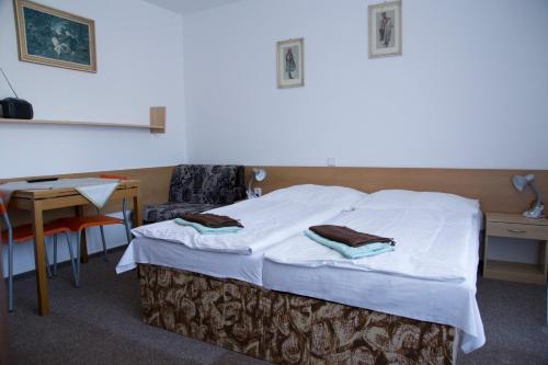 Postel nebo postele na pokoji v ubytování Penzion Beta