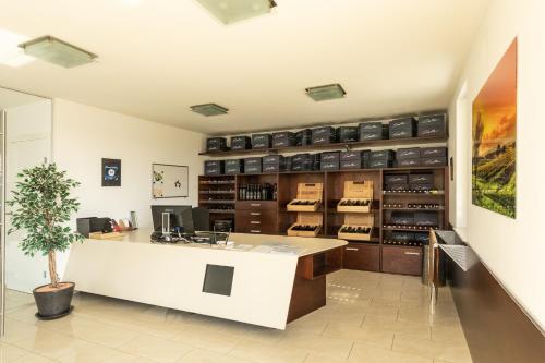 Gallery image of Country Lake Villa in Breitenbrunn