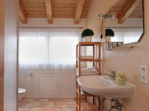 W łazience znajduje się umywalka, toaleta i lustro. w obiekcie Ferienwohnung Graf w mieście Vogtsburg im Kaiserstuhl