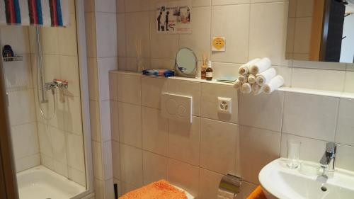 a bathroom with a shower and a toilet and a sink at BnB Ernesto Langwies - NOT Davos in Langwies