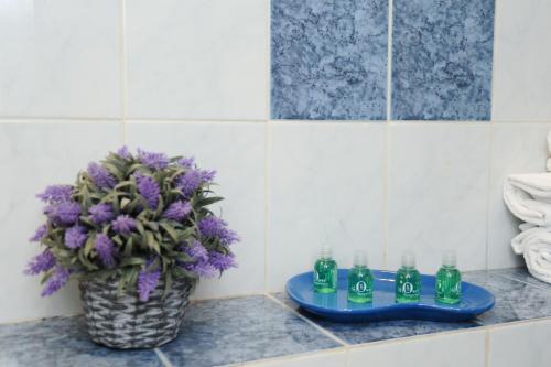 un comptoir avec trois bouteilles de soude et une usine dans l'établissement Suite Halevy 5 stars Holiday House, à Nice