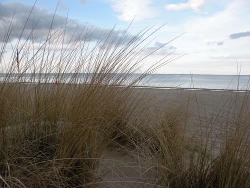 a view of the beach through some tall grass at Düne 74 in Ostseebad Karlshagen