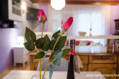two pink roses in a vase on a table at Apartments Kamenecki in Krapina