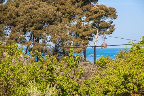 Blick auf den Ozean hinter einigen Bäumen in der Unterkunft Apartments Carmelo in Rovinj