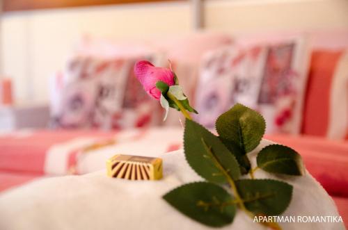 a pink flower sitting on top of a couch at Apartments Kamenecki in Krapina