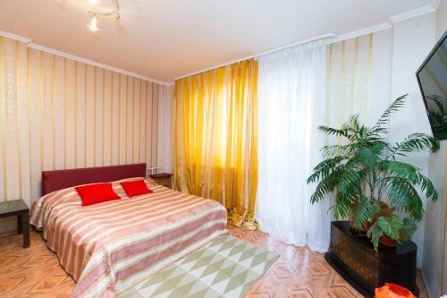 ウファにあるPanoramic View on Salavat Ulaevのベッドルーム(ベッド1台、鉢植えの植物付)