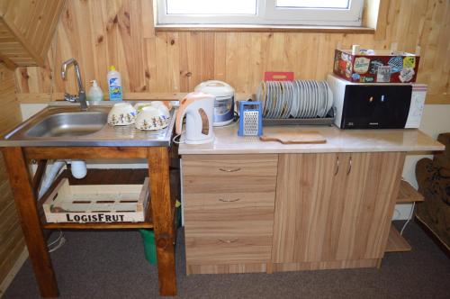 een keuken met een spoelbak en een aanrechtblad bij Guest House Mansarda in Jaremtsje