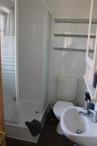 a bathroom with a shower and a toilet and a sink at Haus Fischkutter in Leezdorf