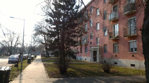 un arbre sur un trottoir à côté d'un bâtiment dans l'établissement Szava Angel, à Budapest