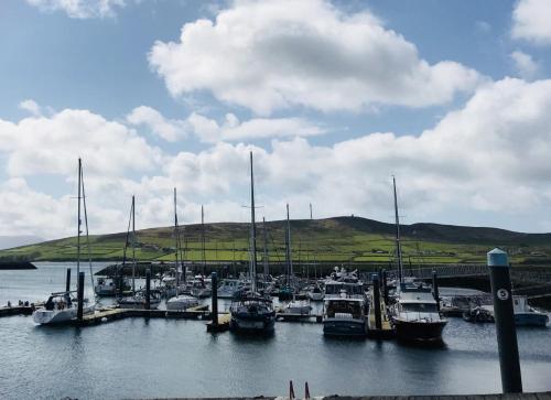 a bunch of boats docked in a harbor at The Waterfront in Dingle