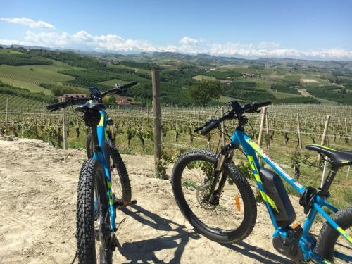 twee fietsen geparkeerd naast elkaar in een wijngaard bij Cascina Baresane in Alba