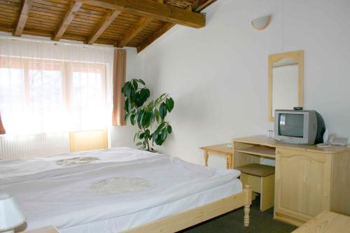 a bedroom with a bed and a tv on a desk at Family Hotel Bisser in Bansko