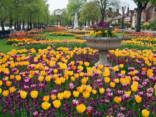 a garden of flowers in a park with a fountain at Luxurious 2 Bed Apartment in Bedford