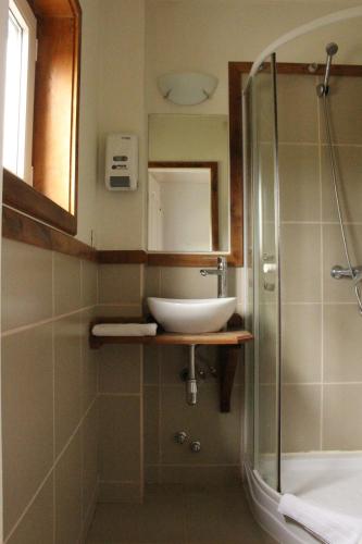 a bathroom with a sink and a mirror and a shower at Hostal Compass del Sur in Puerto Varas