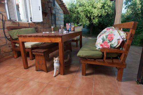 un chat blanc debout à côté d'une table et de chaises dans l'établissement Mare di l'angeli, à Lévktron