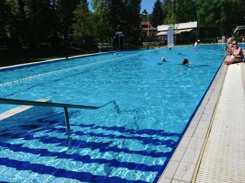 a large swimming pool with people in the water at Vízparti Apartmanház in Leányfalu