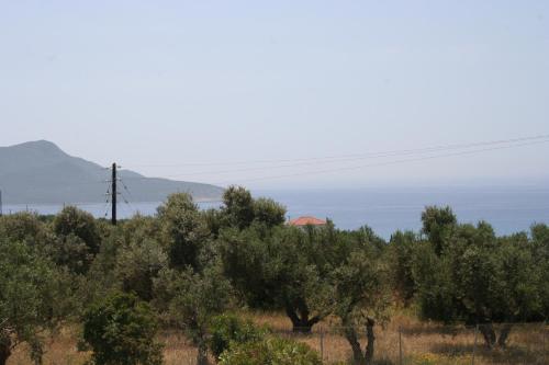 a field of trees with a house in the distance at Casa Di Mare in Methoni