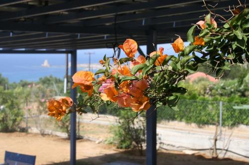 a bunch of orange flowers hanging from a pole at Casa Di Mare in Methoni