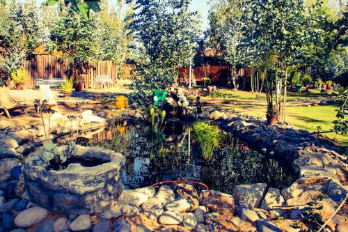 a pond in a yard with rocks and trees at Bosques de San José Lodge in Algarrobo