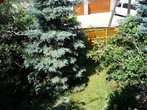 Zahrada ubytování ABBA Gyula apartman