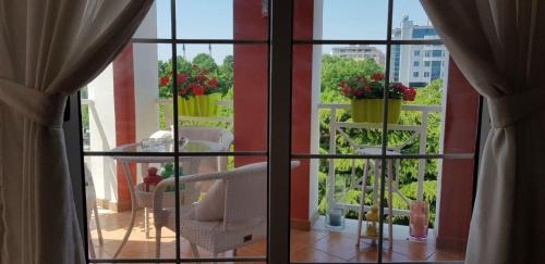 a view from a window of a balcony with flowers at City Centre Apartment 1 in Shkodër