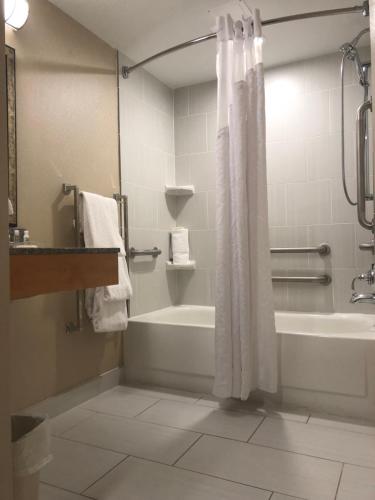 een badkamer met een bad en een douche met een douchegordijn bij Holiday Inn Raleigh Downtown, an IHG Hotel in Raleigh