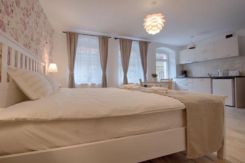 a bedroom with a large bed and a kitchen at Casa Witting in Braşov