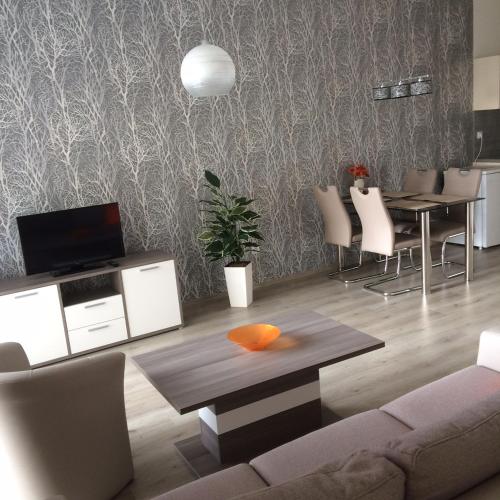 Μια τηλεόραση ή/και κέντρο ψυχαγωγίας στο Apartmán Třeboň č. 1