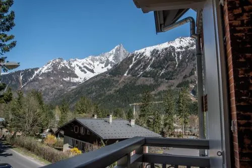 Appart'Hotel Aiguille Verte & Spa photo 5