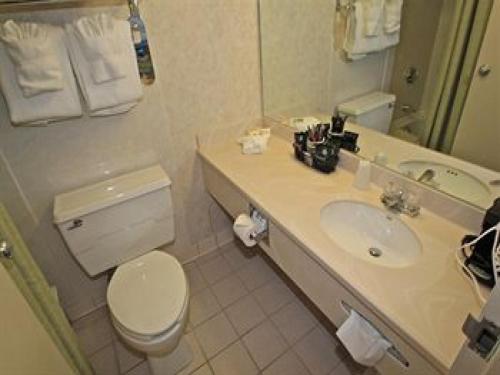 a bathroom with a white toilet and a sink at Fireside Inn & Suites Portland in Portland