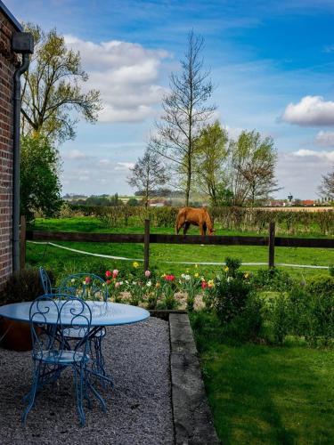 a table and chairs and a horse in a field at Manoir du Kasteelveld in Cassel