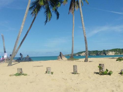 a beach with palm trees and palm trees at Hostal Johnnier Macao Punta Cana in Punta Cana