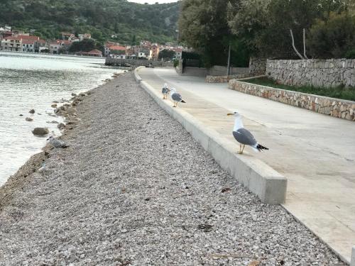 Ivančica Apartments – Photos 3