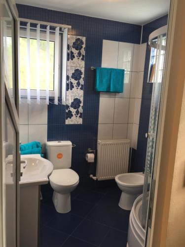 a small bathroom with two toilets and a sink at Casa Roman in Vişeu de Sus